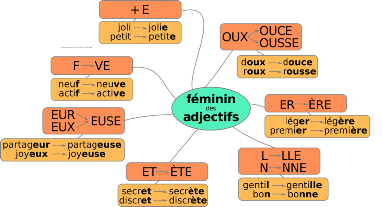 Le féminin des adjectifs – École primaire É. et C. Freinet